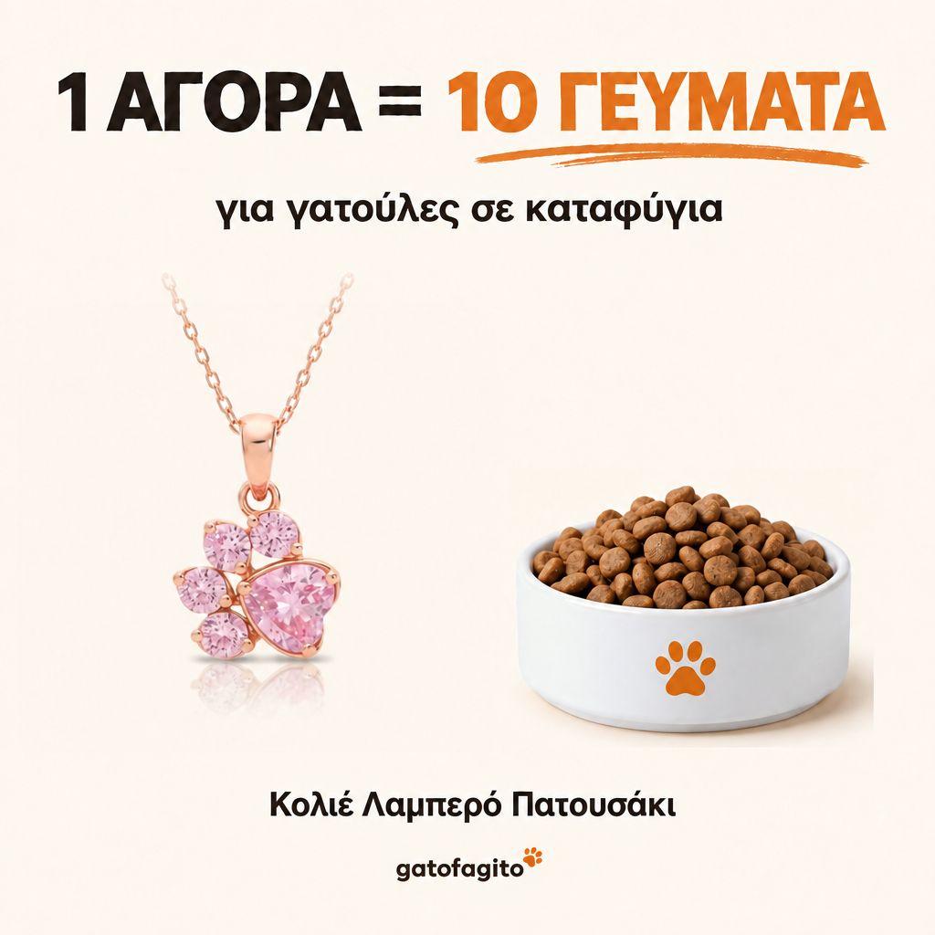 Κολιέ - Λαμπερό Πατουσάκι